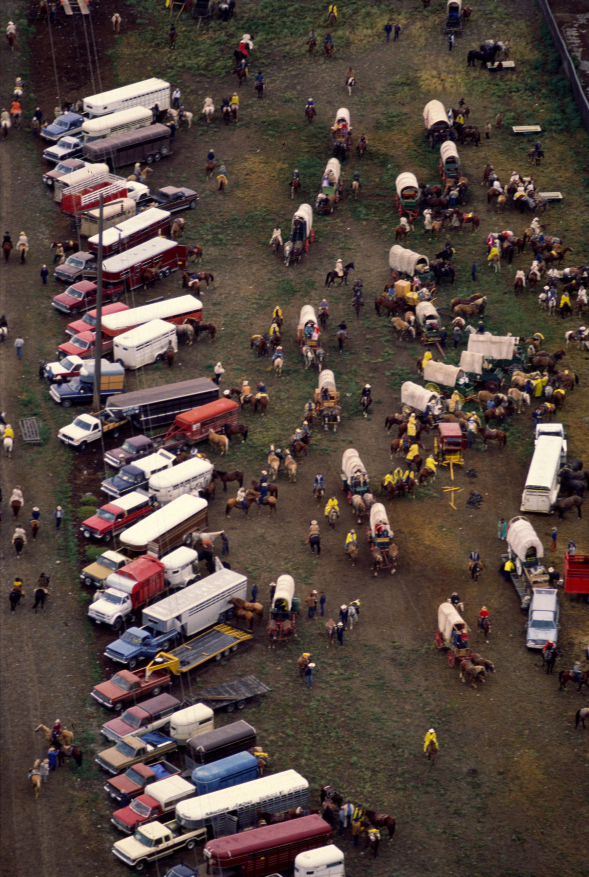 Great Montana Centennial Cattle Drive
